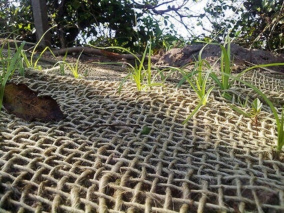 Jute Soilsaver